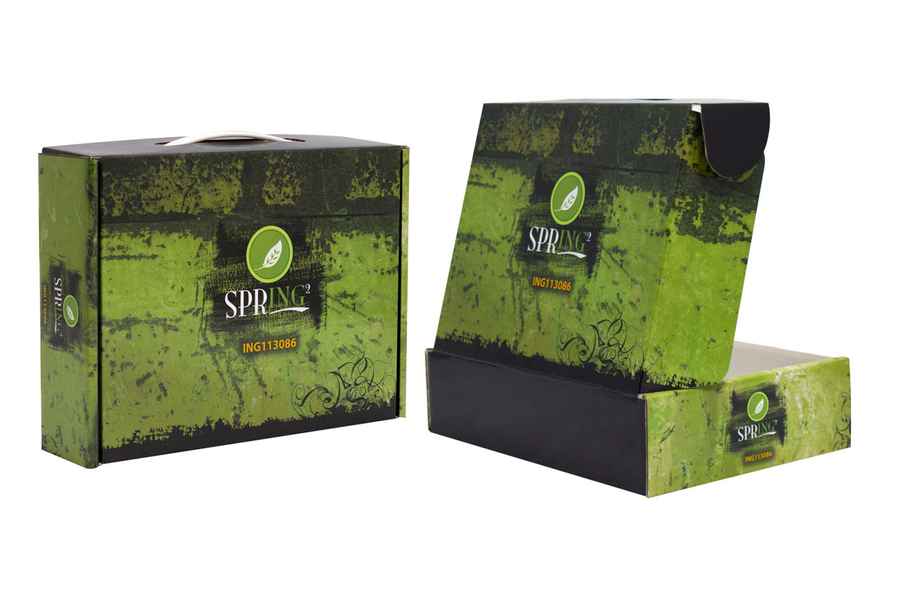 an image showing a printed and die-cut box for beauty supplies